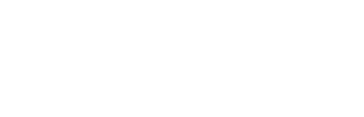 深井屋のうな重